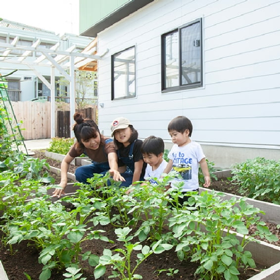 毎日野菜の収穫ができる