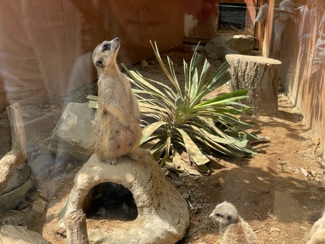 自然動物公園