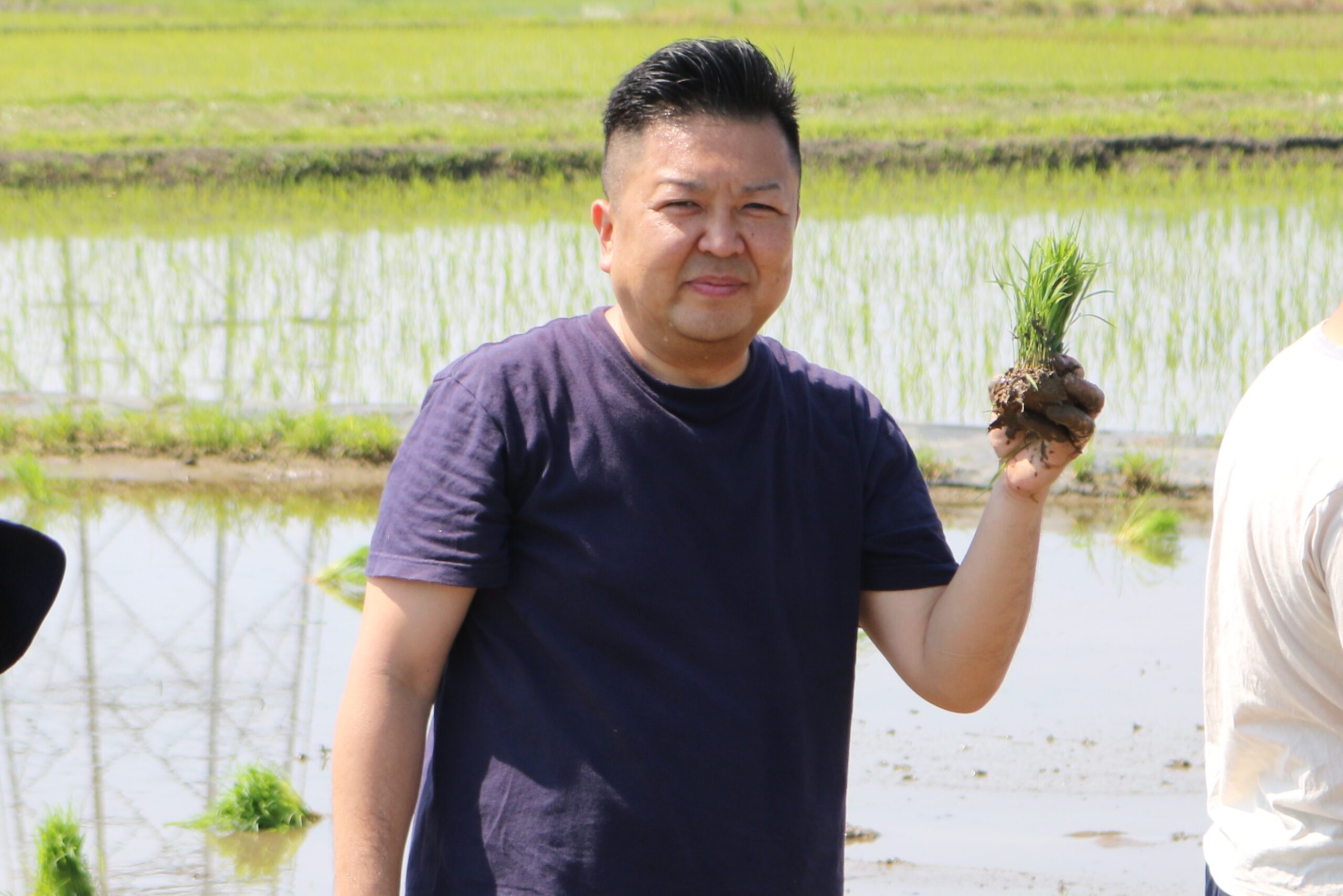 田植え