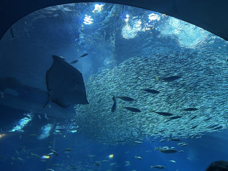 女子旅！～大洗