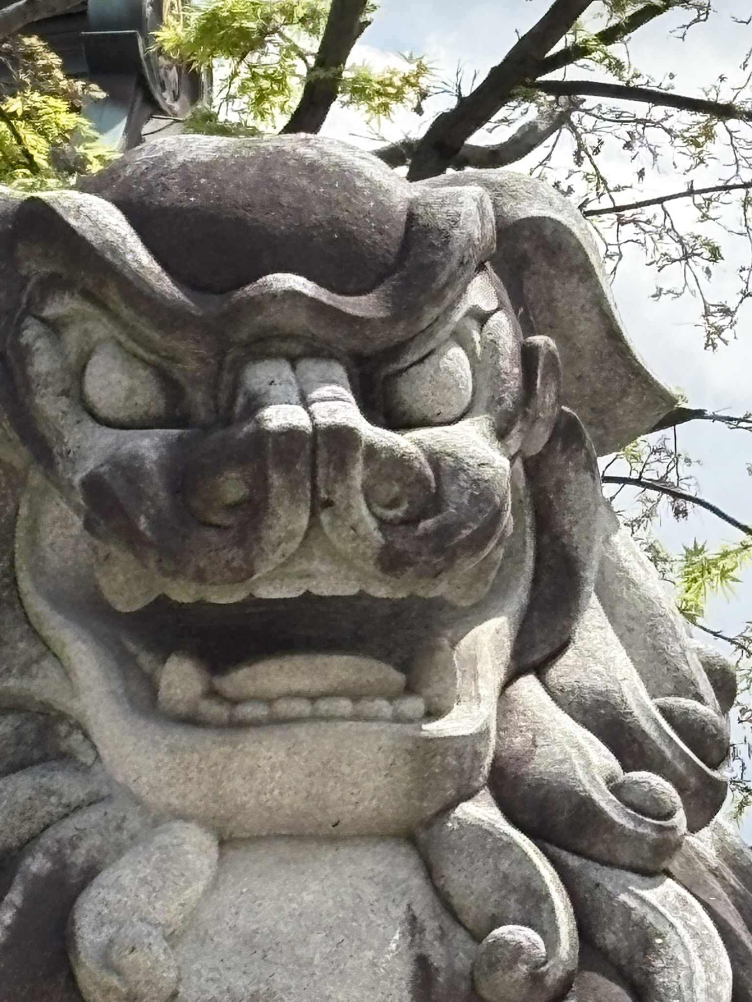 弾丸の旅