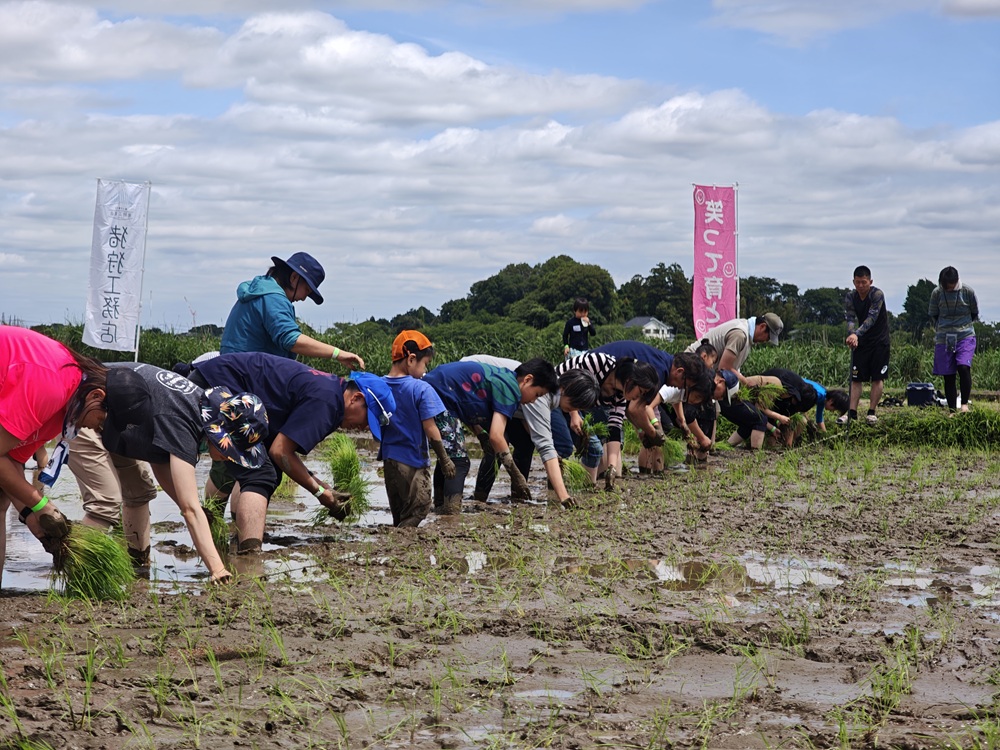 田植え2026