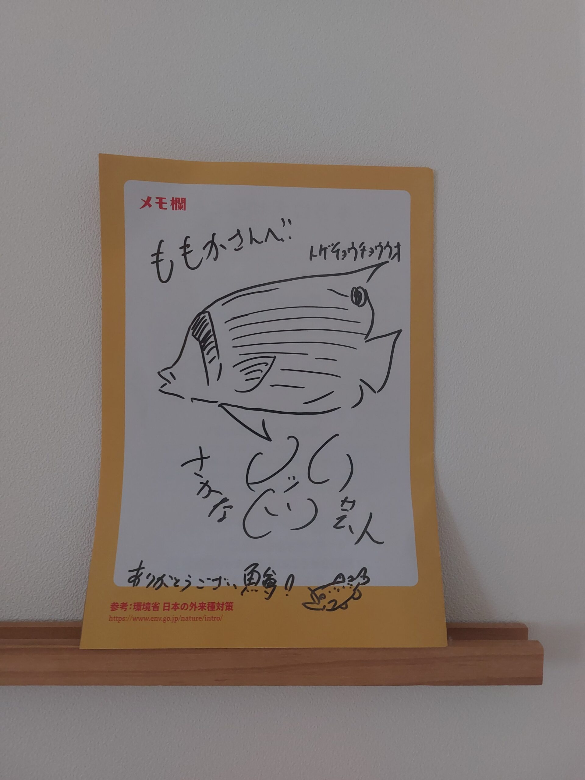 お魚さばきワークショップ